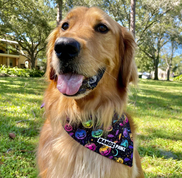 Halloween Night PAWZ Bandana